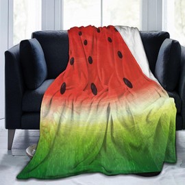Funny Watermelon Fleece Blanket Super Soft Cozy Throw Blanket Throw 40X50inch, Lightweight Fuzzy Comfy Textured Flannel Blanket Warm Plush Throw Blankets for Couch, Sofa, Bed