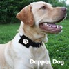 Dapper Dog Pet Tag Silencer and AirTag Holder (Black with