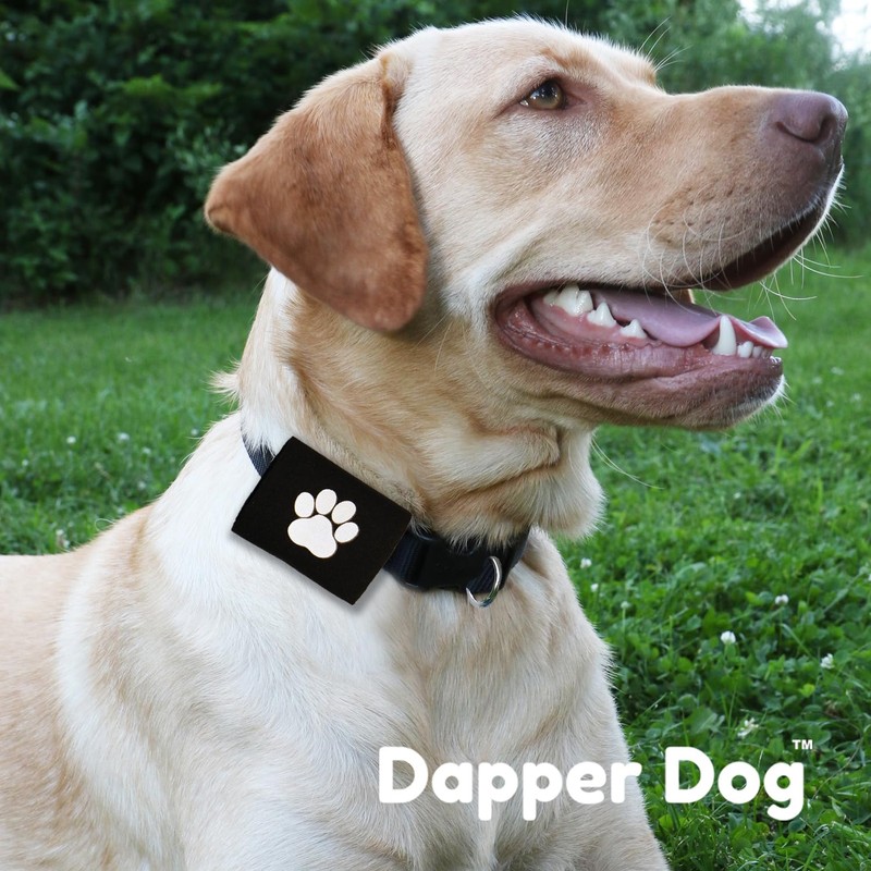 Dapper Dog Pet Tag Silencer and AirTag Holder (Black with