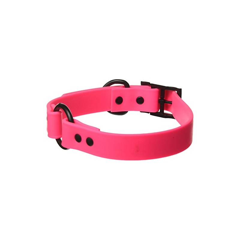 OmniPet Zeta Ring in Center Dog Collar with Black Metal