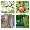 Quoddify 2 in 1 Tree Pruner & Pole Saws for