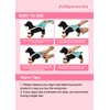 Jollywoods 3 Pack Washable Female Dog Diaper Onesie Sanitary Pantie