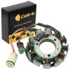 For Ski-Doo Stator for Ski Doo Mx Z 500 MXZ500