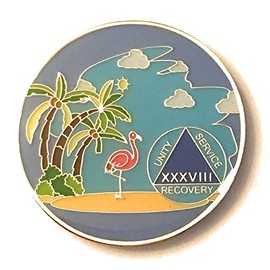 38 Year AA, Alcoholics Anonymous Beach Medallion, Chip, Token, Blue, Palm Tree with Flamingo