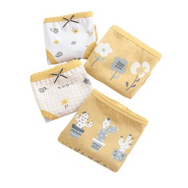 Orinery Girls Cotton Underwear Assorted Hipster Panties Soft Lace Undies Toddler Kids Briefs 6-Pack(SH726-B, 3-4T)