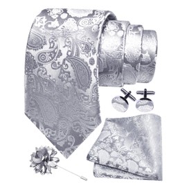 Gusleson Light Grey Tie for Men Paisley Wedding Silver Necktie Pocket Square Cufflinks and Lapel Pin Brooch Set (UK6105-13)