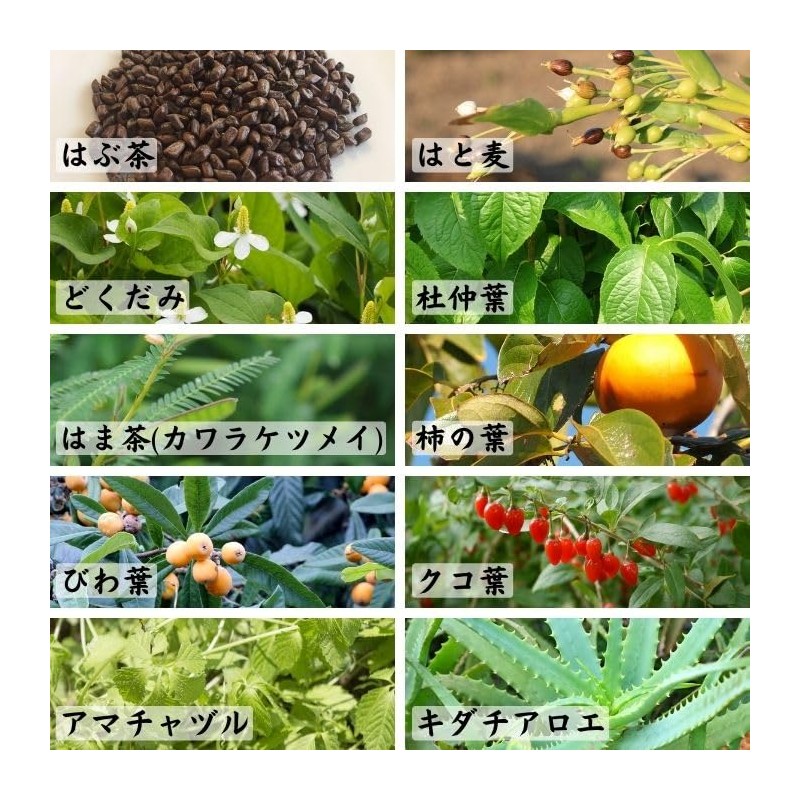Takayama Tea Garden Tokenju Tea 0.1 oz (4 g) x
