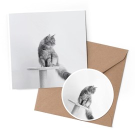 1 x Greeting Card & 10 cm Round Sticker Set - BW - Pretty Maine Coon Cat Kitten - Birthday Thank You Friend Lover Fan Mum Dad Kids #42449
