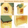 Bird Houses for Outside Clearance, Wooden Bluebird House with Metal