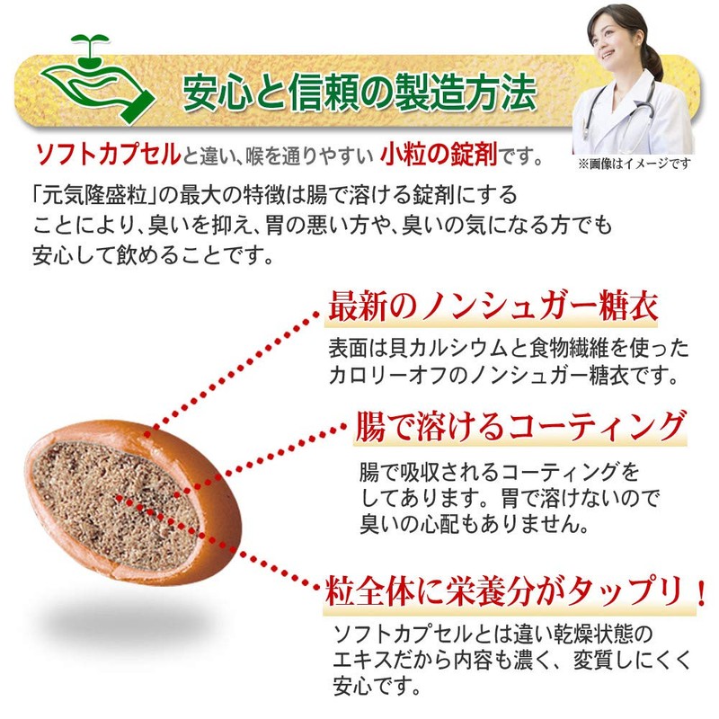 大日ヘルシーフーズ 元気隆盛粒 30粒入 2袋 にんにく卵黄 しじみ ウコン 亜鉛 配合 糖衣粒タイプ
