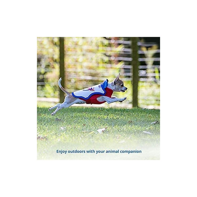 Raptor Shield Puncture Resistant Pet Vest for Small Dogs —