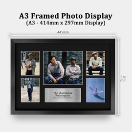 HWC Trading Shawshank Redemption Geschenke Geducktes Signiertes Autogramm Präsentationsdisplay für Fans von Film Memorabilien - A3 Gerahmt