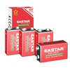 EASTAR BTS 9V Carbon Zinc Batteries – 4 Pack 6F22