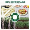 JOLLY CHEF 100% Compostable Paper Plates, 150 Pack 10 Inch