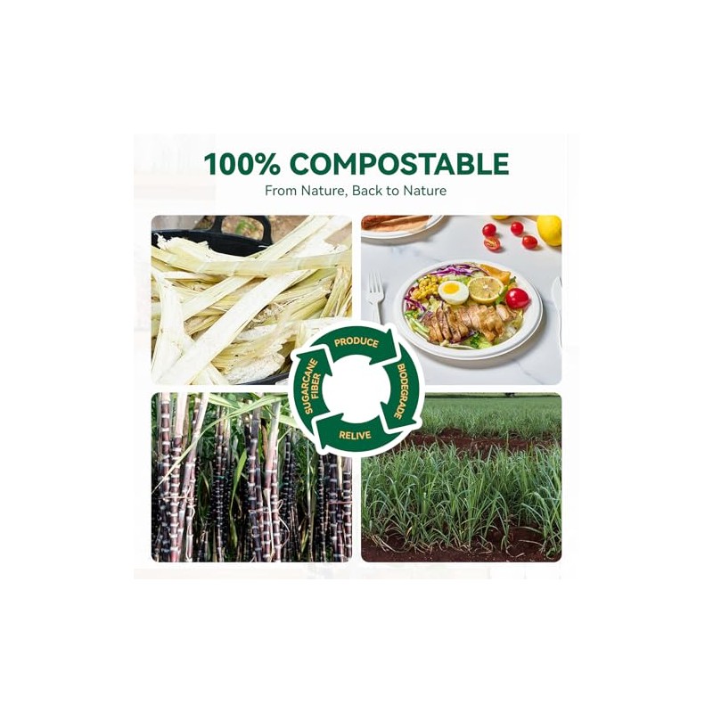 JOLLY CHEF 100% Compostable Paper Plates, 150 Pack 10 Inch