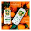 Shampoo Herbal Essences Frescura Mandarina, jengibre, y menta 400 ml