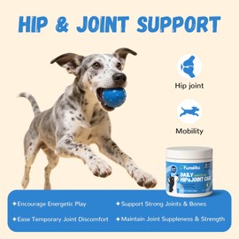 Furrolika Hip and Joint Supplement for Dogs – Glucosamine, Chondroitin, MSM, Vitamin C – Chewable Joint Support for Mobility & Comfort – Beef Flavor – 60 Soft Chews