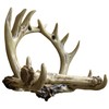 Rustic 8 Point Deer Antler Wall Mounted Toilet Paper Holder