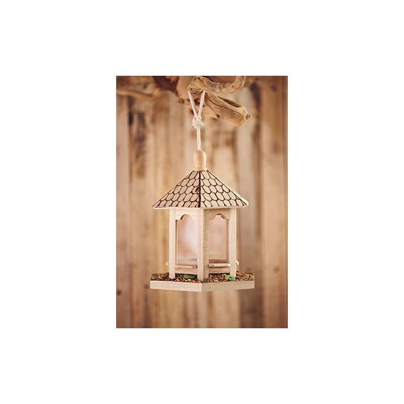 VBS Hexagonal Bird Feeder