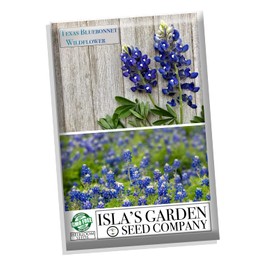 Texas Bluebonnet Flower Seeds for Planting, 25+ Seeds Per Packet, (Isla's Garden Seeds), Non GMO & Heirloom Seeds, Botanical Name: Lupinus texensis, Beautiful Home Garden Gift