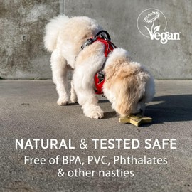 HEVEA Star Treat Dog Activation Toy (Hunter Green) - Natural Rubber Dog Chew Toy for Sore Gum Relief - Tested and Safe for Your Dog