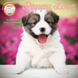 Graphique 2023 Puppy Love Wall Calendar | 12" x 12" | Thick Paper | Home & Office Organiser | Large Monthly Grid | 3 Languages & Marked Holidays | 4 Month Preview Page for 2024