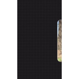 Ore 3 Capsulas De Oregano Ore 65 Capsulas