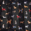 Dog Print Satin Stripe Scarf, Multi Black
