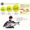 南ウキ 競技スペシャル/磯釣り名人「南康史」監修のチヌ（黒鯛）・グレ フカセ釣り用円錐ウキ (イエロー, B)
