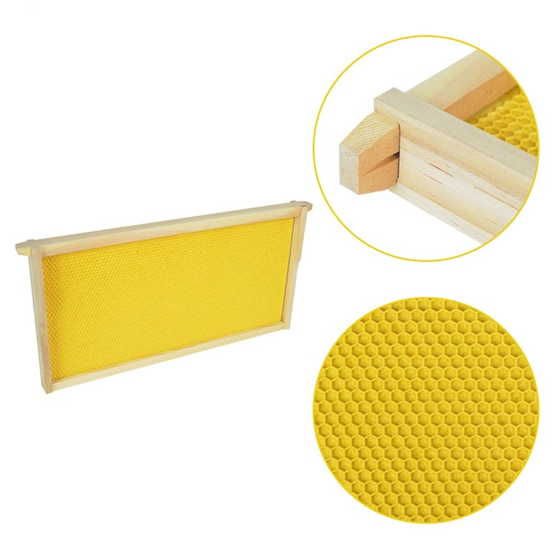 HiveSweet Deep Brood Beehive Frames with Wax Foundation 10pack Beehive