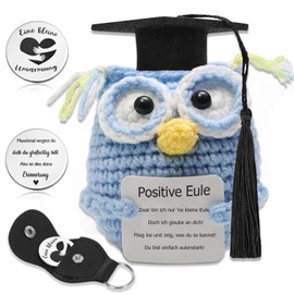 LOHENYOR Graduation 2025 Gift & Bachelor Gift - Positive Owl + Lucky Charm Set as - Motivational Gift for Passing Exams - Graduation Gift - Decoration for Student Room, Stainless Steel, Stainless