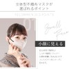 [グローバル・ジャパン] STYLE-ONニュアンスカラーフィットマスク30枚入 ベージュ