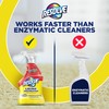 Resolve Urine Destroyer Spray – Pet Stain and Odor Remover,