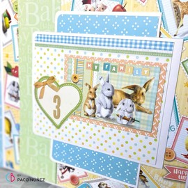 Ciao Bella CBQ042 Assorted Paper One Size