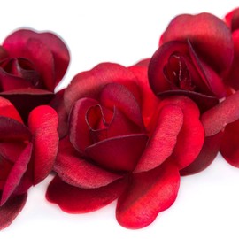 6 Red Black Tips Full Open Bud Wooden Roses for Crafts Custom Bouquets and Other Projects. 10 Colors to Choose from.