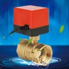 DC 24V 2 Way 3 Wire Brass Motorized Ball Valve