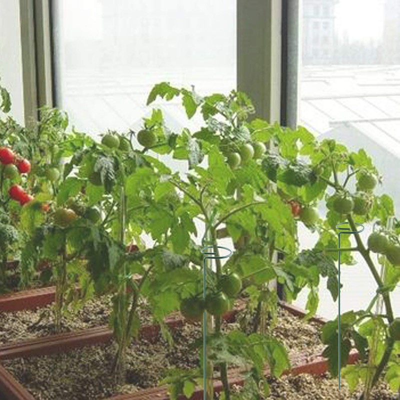 Plant Stake Support - 6 Pack, Garden Single Stem Support