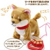 マザーガーデン 一緒にお散歩シリーズ わんちゃん 〔歩く ぬいぐるみ 犬 電子ペット〕柴犬くん 506-58281
