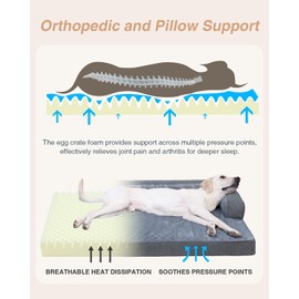 KSIIA Washable Dog Bed XL Senior Dog, Orthopedic Warm Soft Pet Sofa Waterproof Pet Couch with Sides, Non-Slip and Egg-Crate Foam Extra Large Beds with Removable Cover, 41x27Inch, Dark Grey