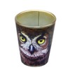 JUST FUNKY Owl Face 2oz Shot Glass