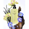 Fernie Golden Oud Scalp Hair Loss Shampoo Citrus Scent 500ml