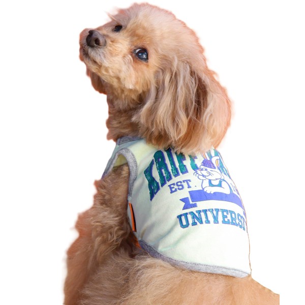 クリフメイヤー 犬服 DOG ウェットプロテクト Tシャツ (カレッジ) MEDIUM ライトグリーン