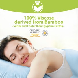 BAMPURE Luxury Series 6 Pcs Queen Sheet Set - 100% Pure Viscose derived from Bamboo Sheets Queen Size - Super Soft Queen Cooling Sheets for Hot Sleepers - Up to 16’’ Deep Pocket Queen Sheets (L Blue)