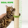 TINYBEAST 34" Tall Cat Scratching Post for Indoor Cats, Cat