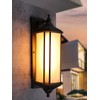 LEONLITE Extra Large 23Inch Outdoor Wall Lights, Classical Style Wall