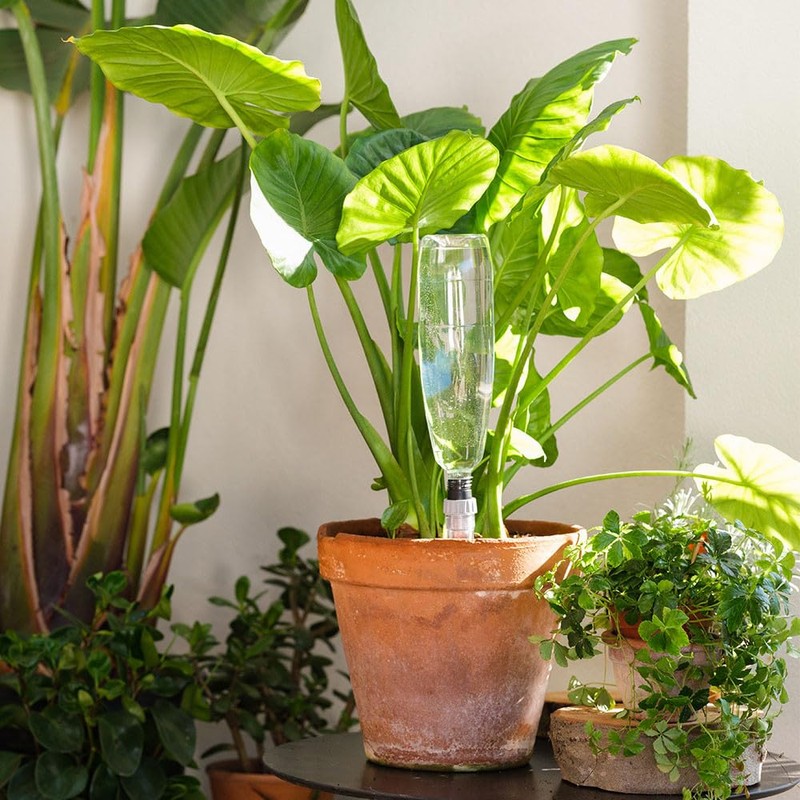 Claber Idris Spike Automatic Irrigation 8052