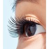 Laneige Brand Store [HQ Operated] Laneige Eyelash Curler 1EA Artist
