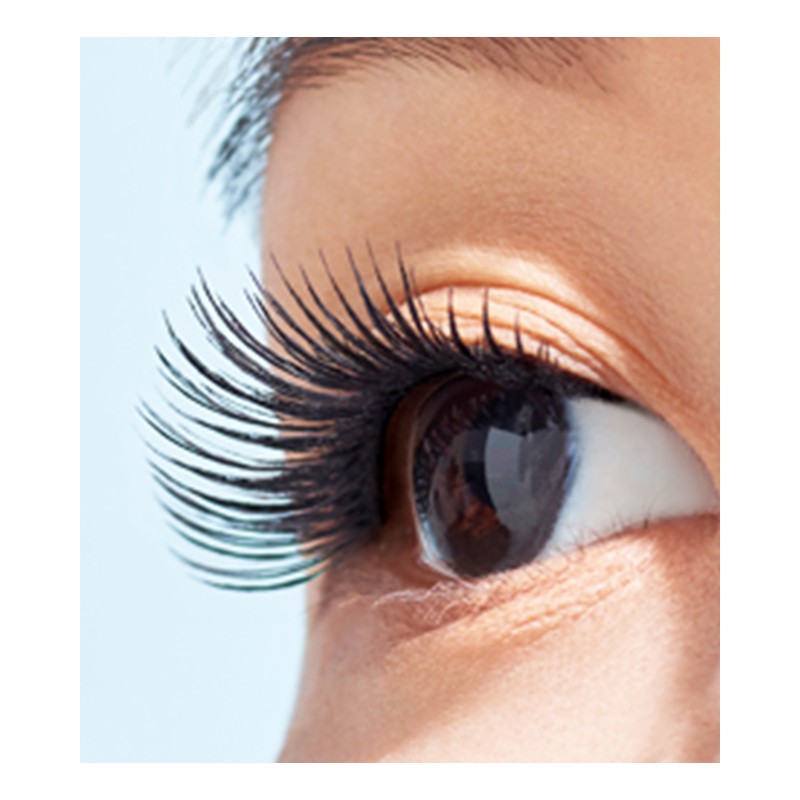 Laneige Brand Store [HQ Operated] Laneige Eyelash Curler 1EA Artist