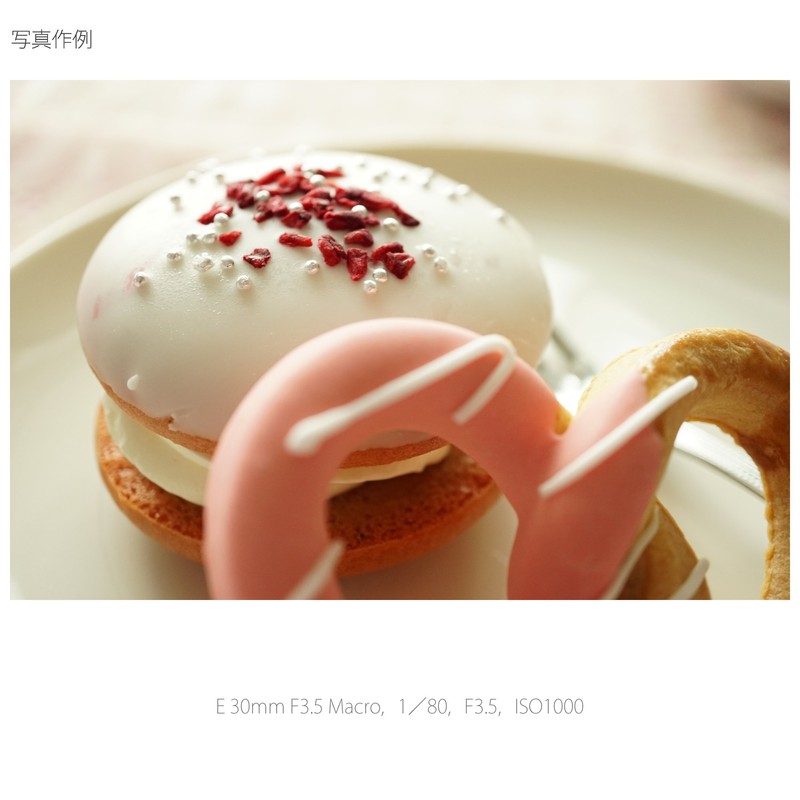 Sony SEL30M35 MILC Macro lens Silver Camera Lense