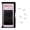 Oreola 0.05C Easy Fan Eyelashes, 8-15 mm Long Simple Fan